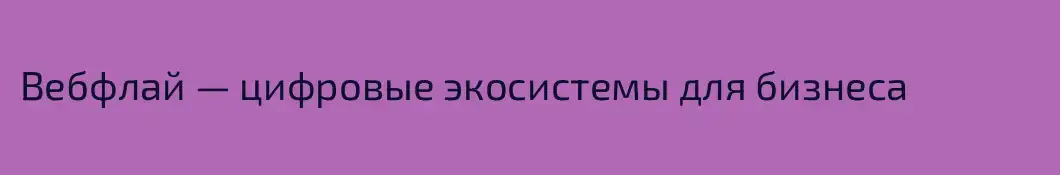 Вебфлай — цифровые экосистемы для бизнеса